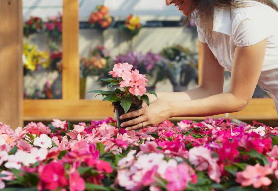 A Nest for All Seasons