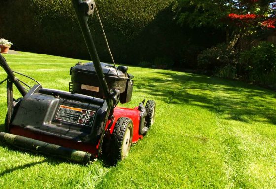 Grass Cutting and Lawn Care