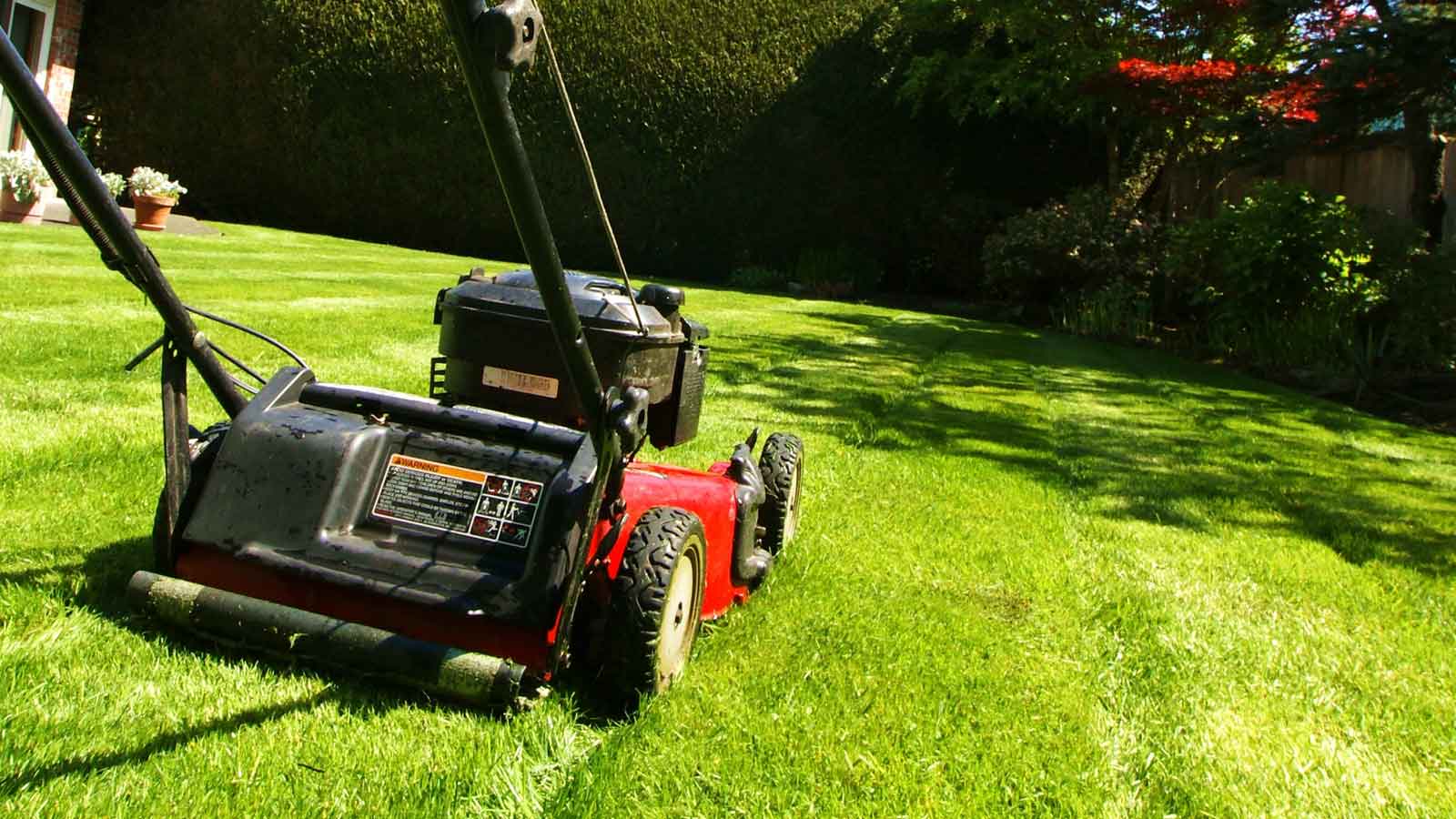 Grass Cutting and Lawn Care